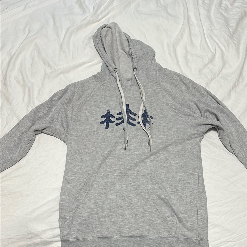 Gray and Blue Sweatshirt Hoodie Casual Wear